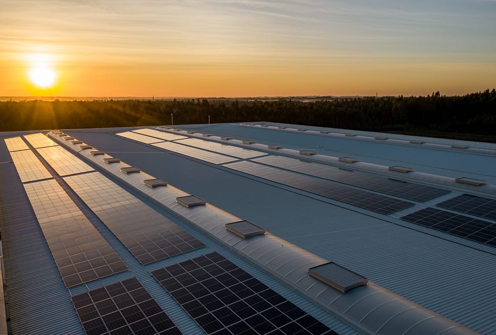 A rooftop with solar panels. A sunset glows in the background.